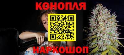 гашик Лесной
