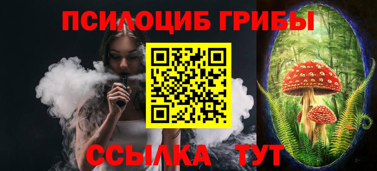 Горно-Алтайск  сколько стоит  Вход с VPN  Галлюциногенные грибы Cubensis  Псилоцибиновые грибы Psilocybe 